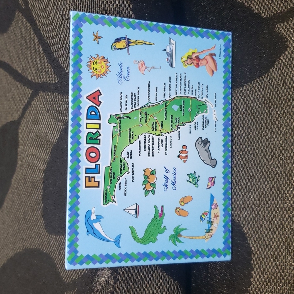 ✅#3 Refrigerator Magnet Decoration Florida Map Rectangular.